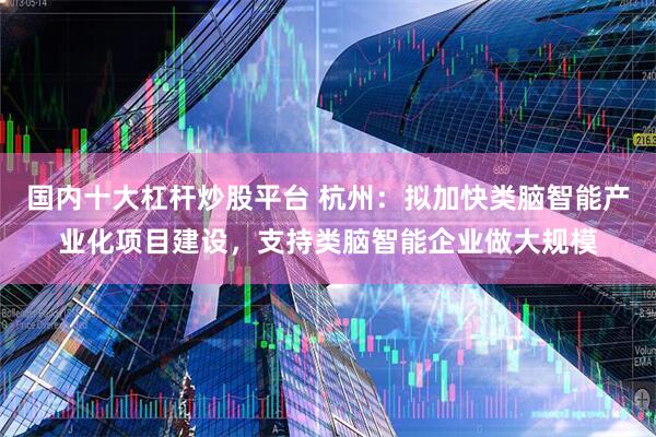 国内十大杠杆炒股平台 杭州：拟加快类脑智能产业化项目建设，支持类脑智能企业做大规模