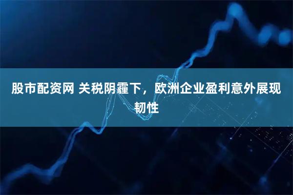 股市配资网 关税阴霾下，欧洲企业盈利意外展现韧性
